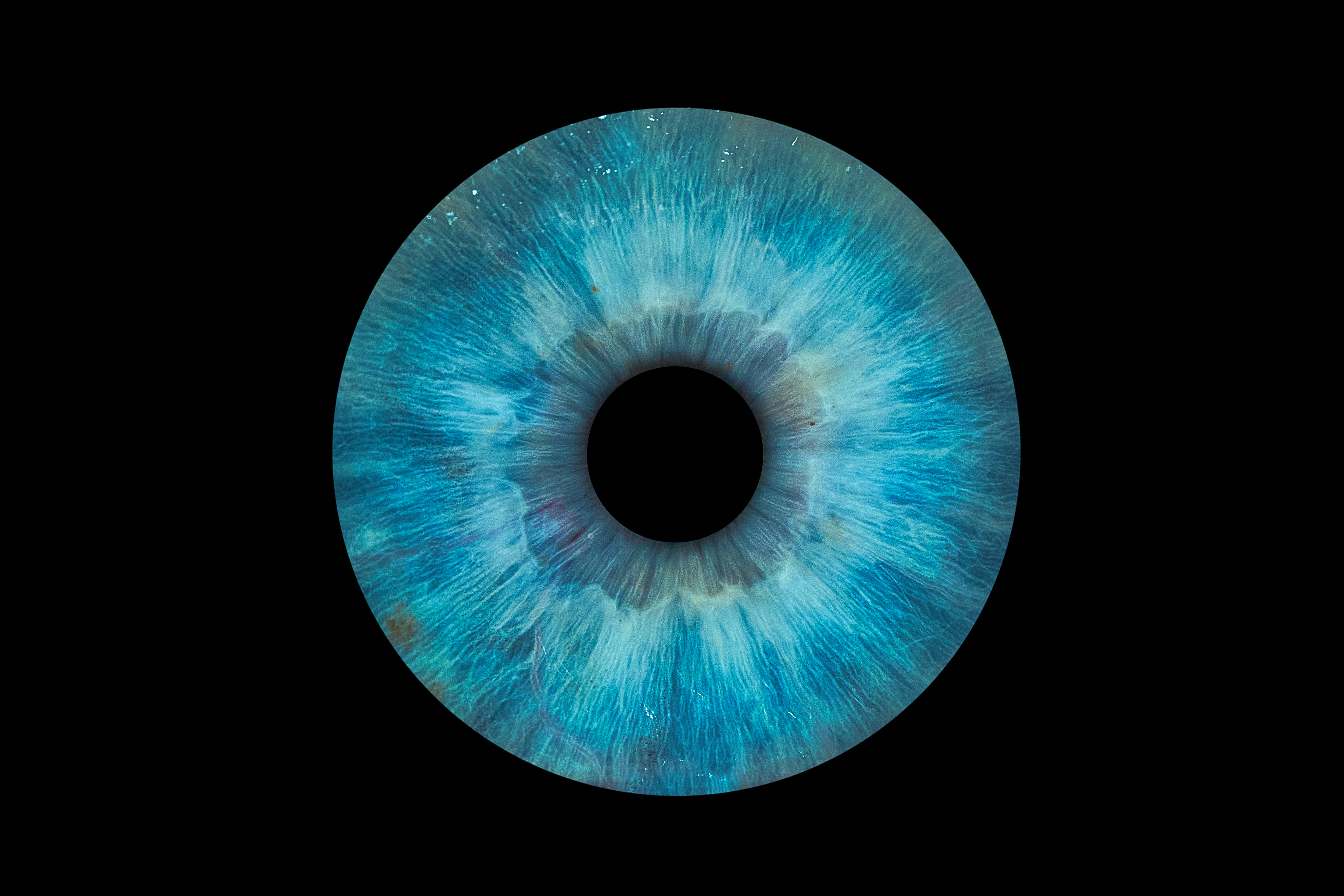 Iris-Strukturen Detail (Rechts)